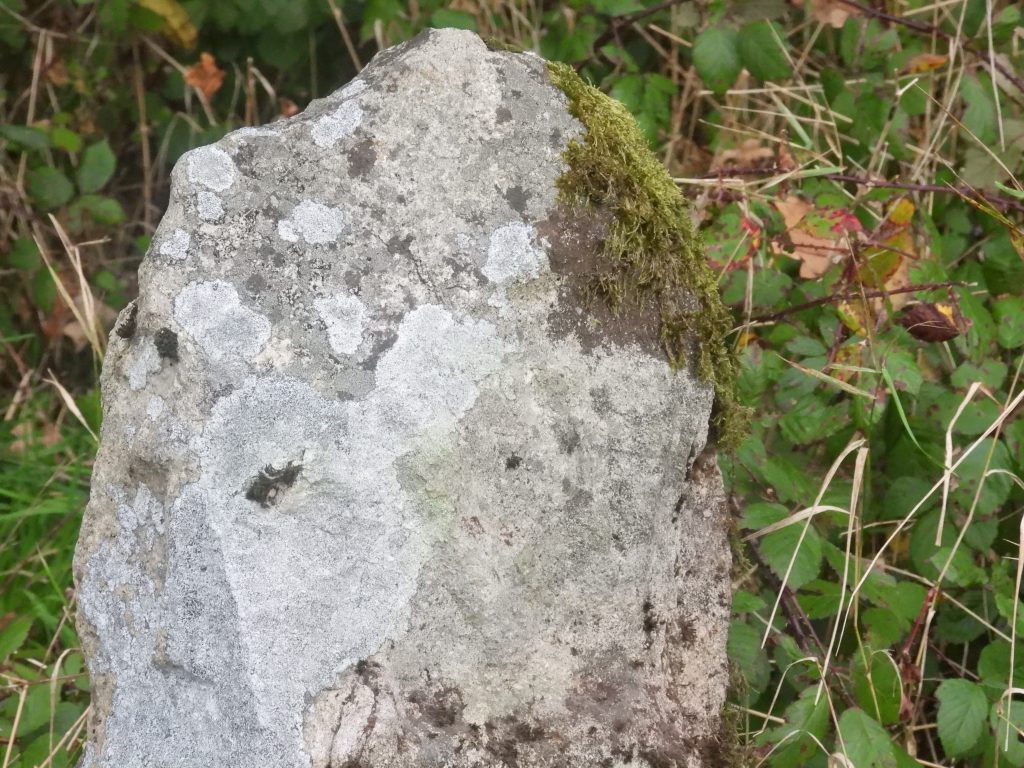 10. Parish Boundary d