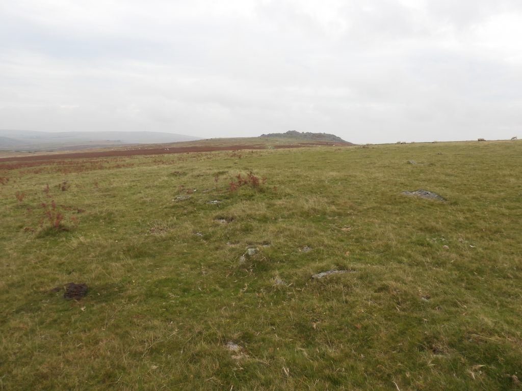 10. Walkhampton Common Reave extension