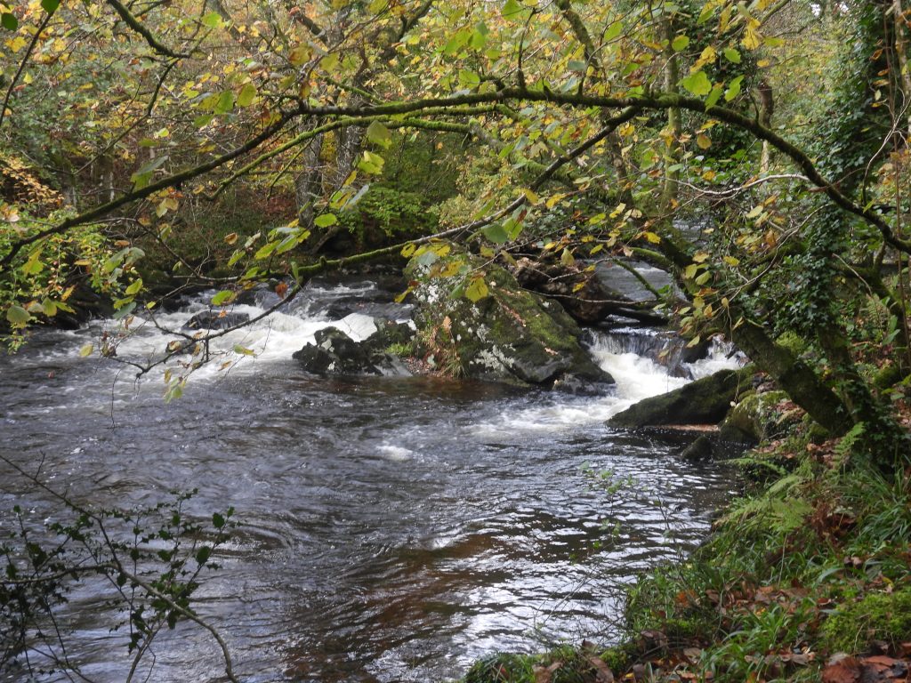 11. River by South Devon United