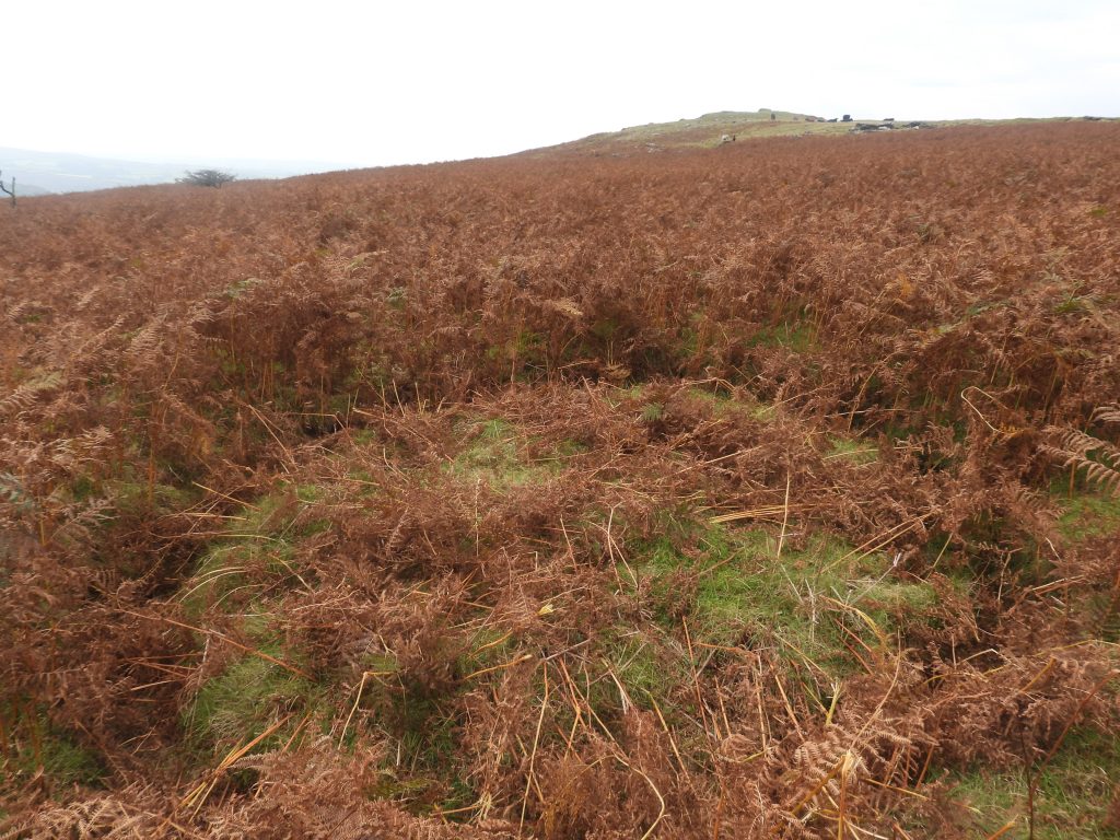 15. Peat Drying Platform a