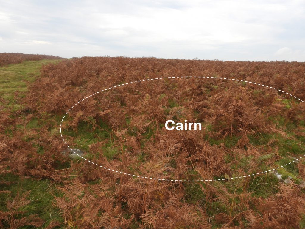16. Cairn a