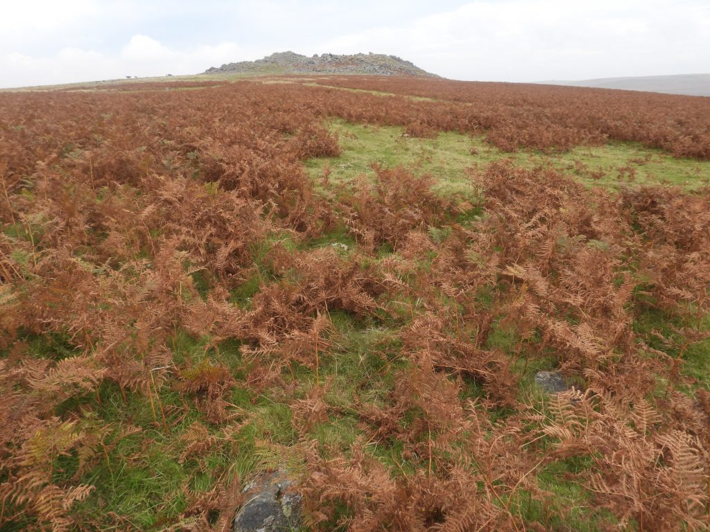 16. Cairn b