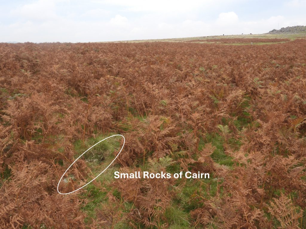 16. Cairn c