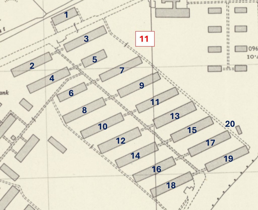 16. More Wards - section 11