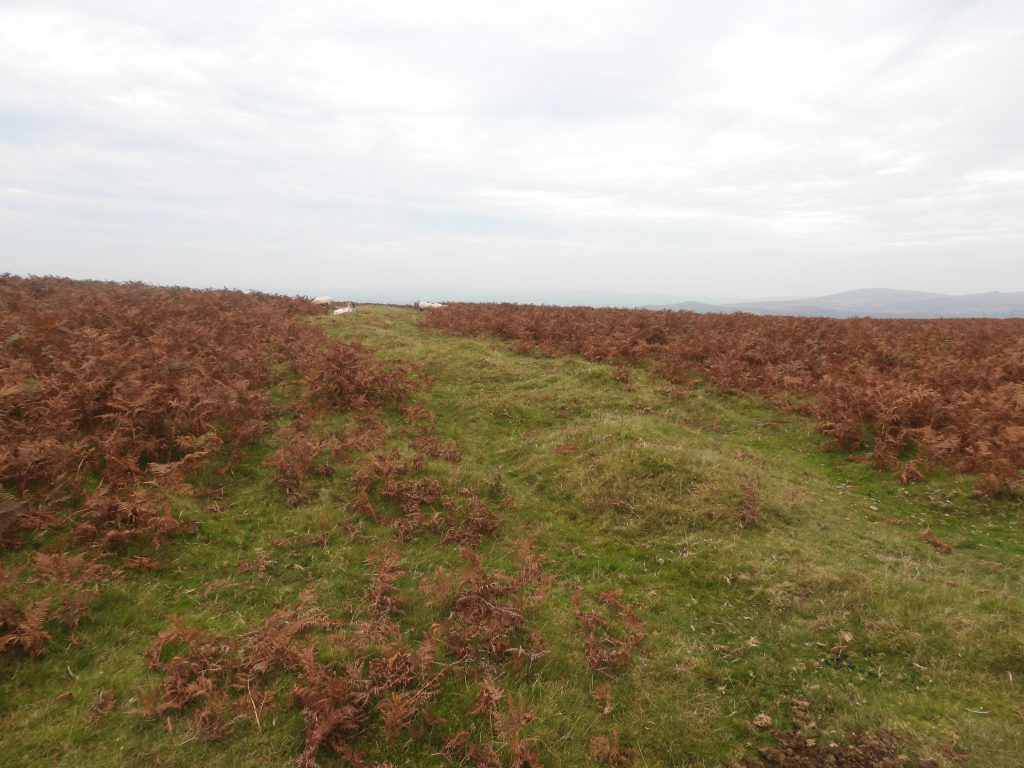 2. Enclosure a