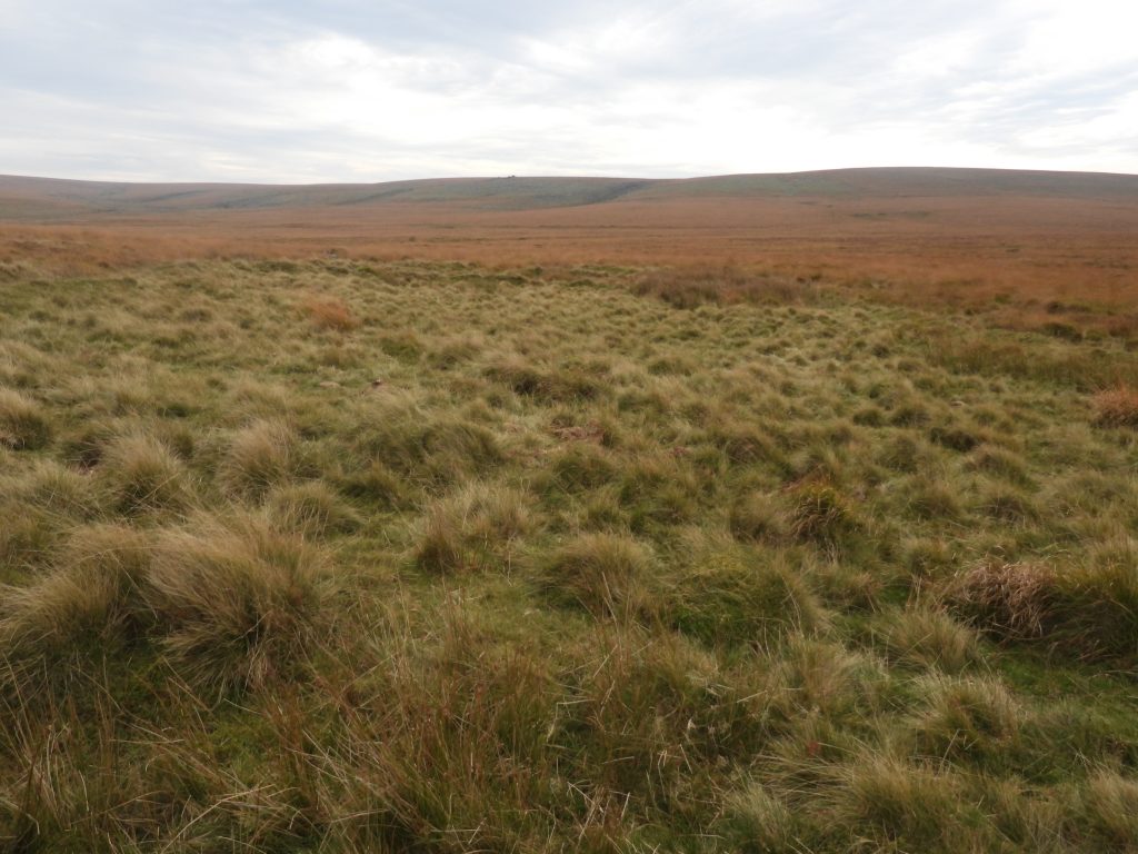 2. Enclosure a