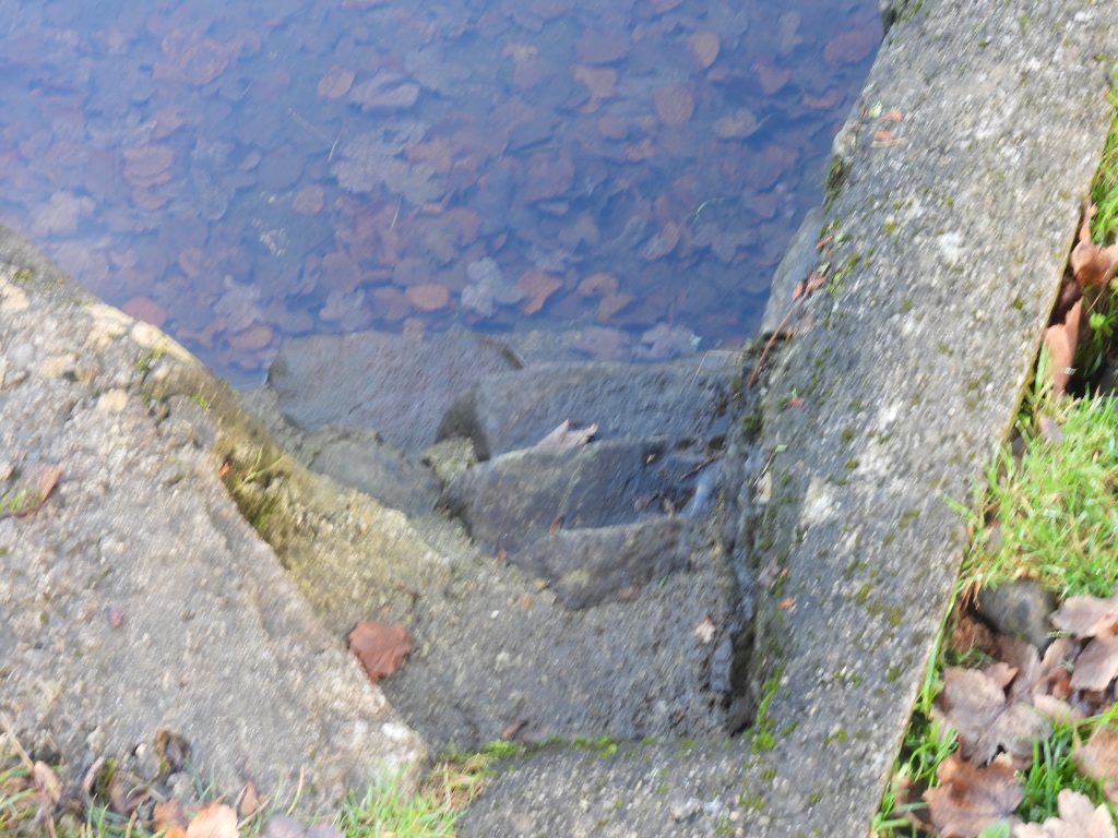 26d. Collybrook Swimming Pool