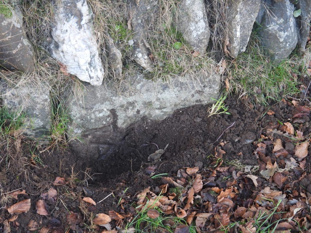 3. TA Direction Stone