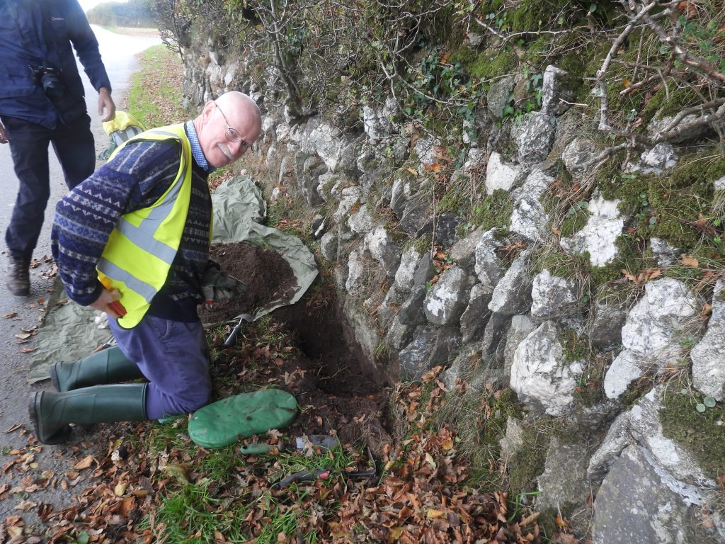 3. TA Direction Stone Digging - Dell