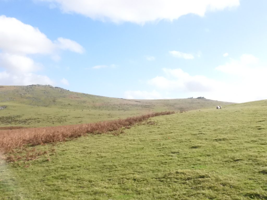 33. Crossing Southern slopes of Cox Tor