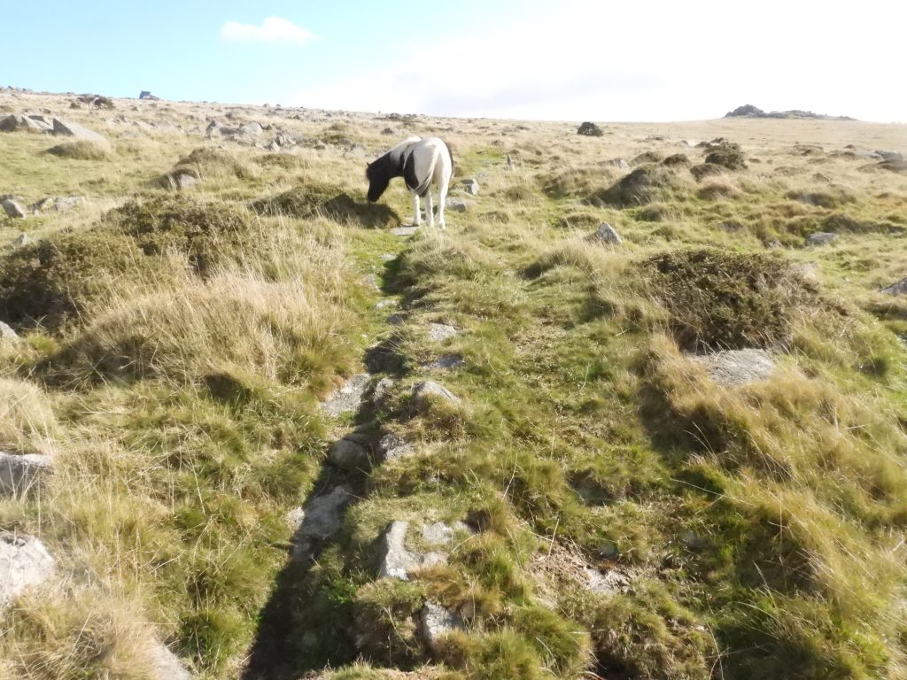 38b. Quarryman's Causeway