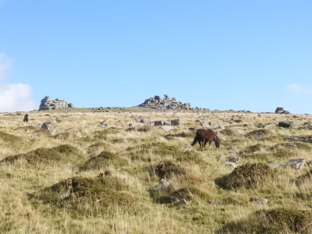 39. Great Staple Tor