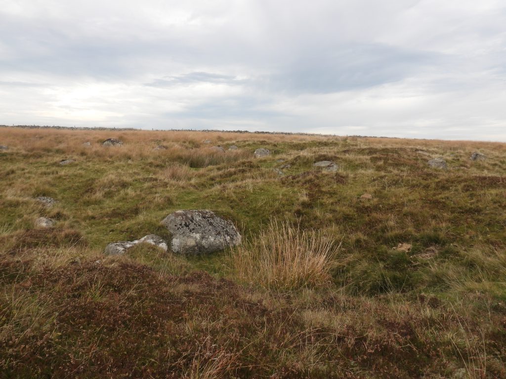 4. Prospecting Pit b