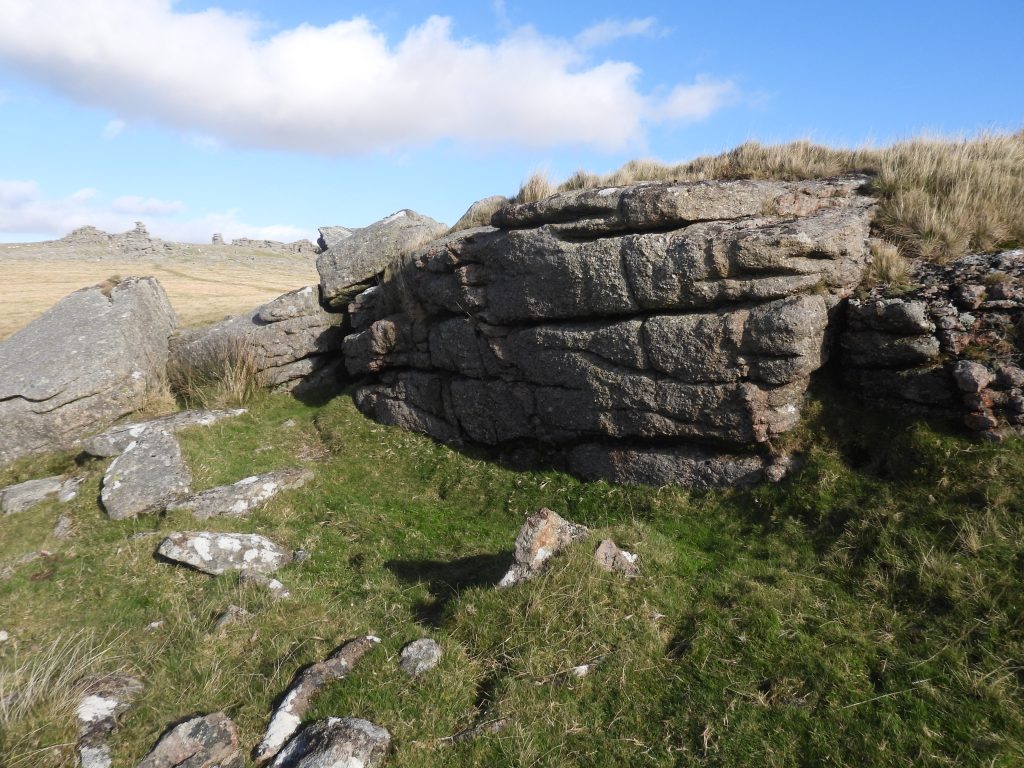 42. Middle Staple Tor