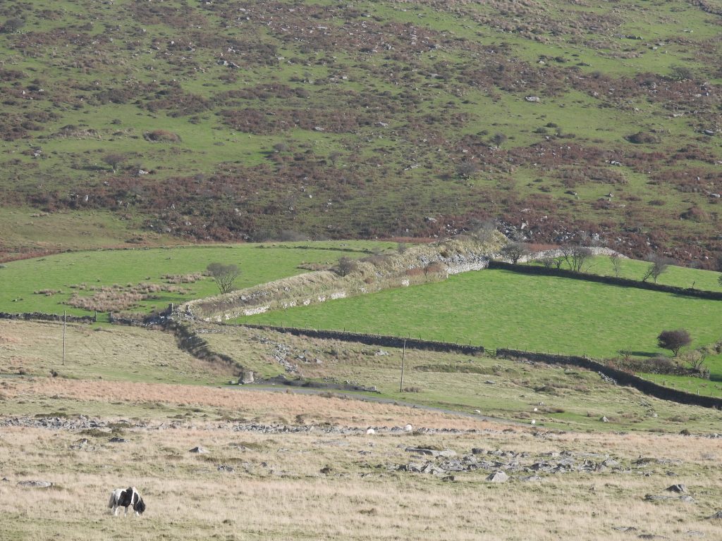 44. Merrivale Light Railway Embankment