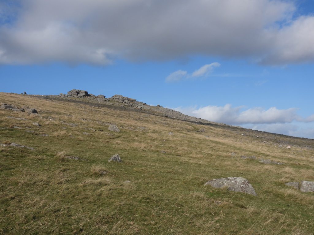 45. Great Staple Tor