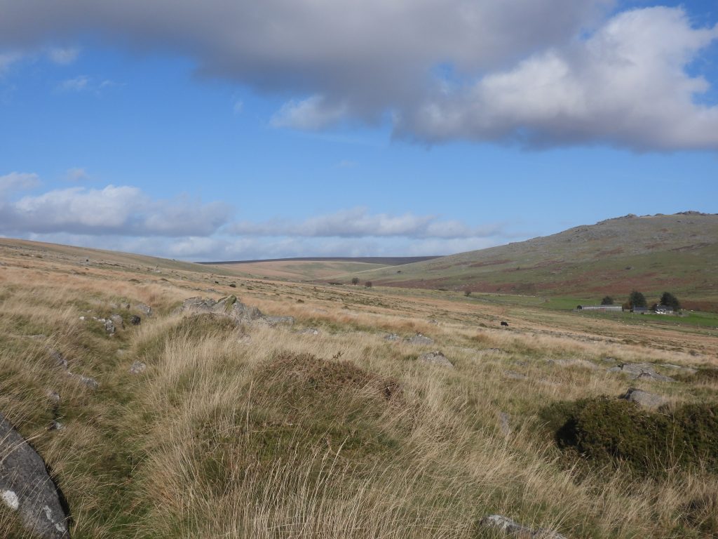 48. Dry Leat - G&S side extension