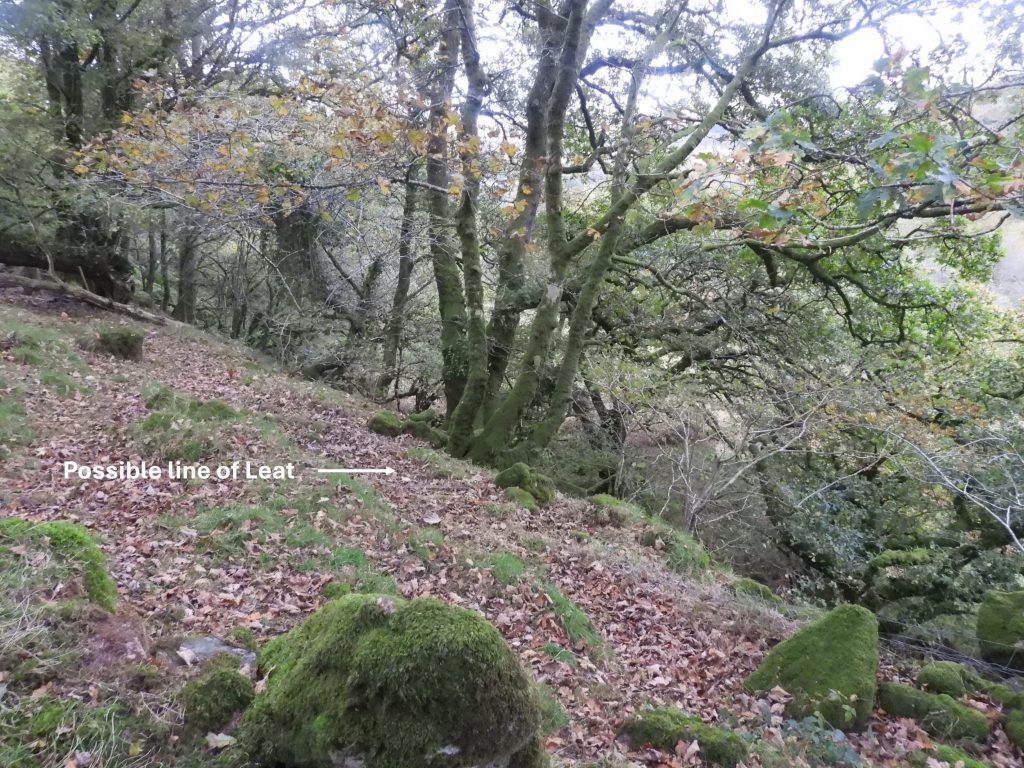 4a. Possible line of leat 2