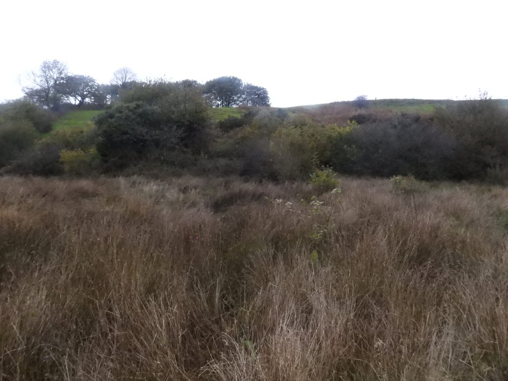 4c. Area of New Shaft and Old Shaft