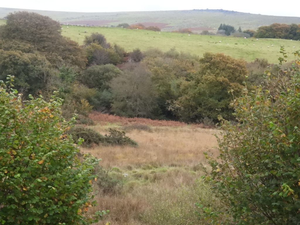 4c. Ground disturbance near Shafts