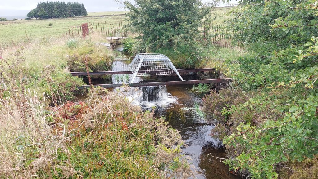 6. Devonport Leat Fountain a