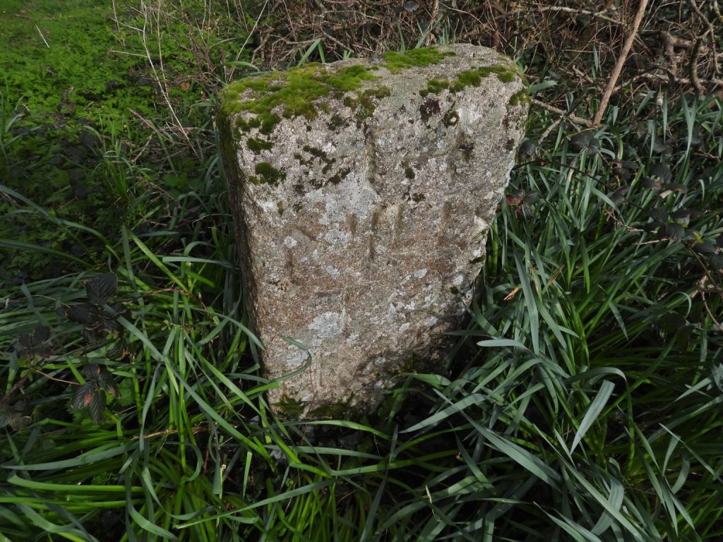 7. 14 Miles to Plym - Green Lane a