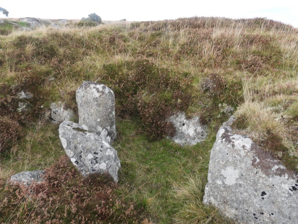 7. Tinners Hut 2d