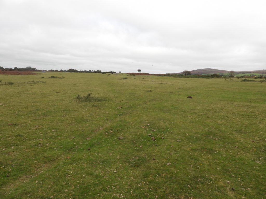 7b. Central Track through sections 2-5