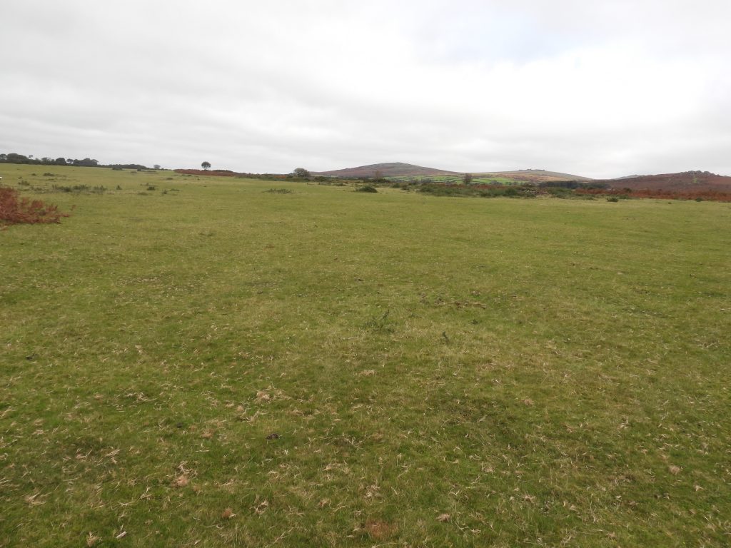 7. General View from south corner