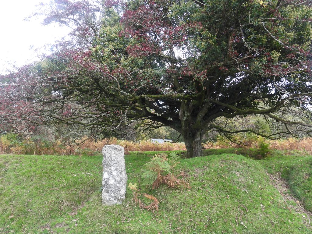 8. 13 Miles to Plym d