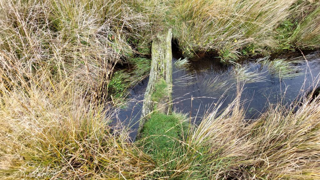 8. Bridge 2b