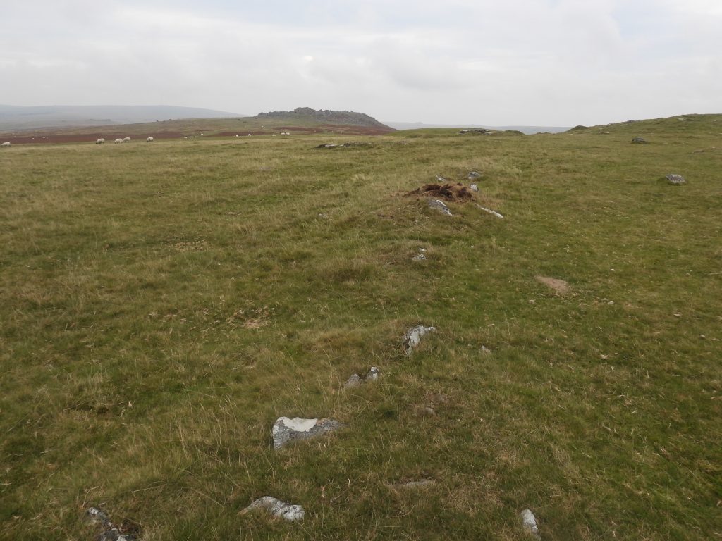 8. Reave 1c - by Ring Cairn