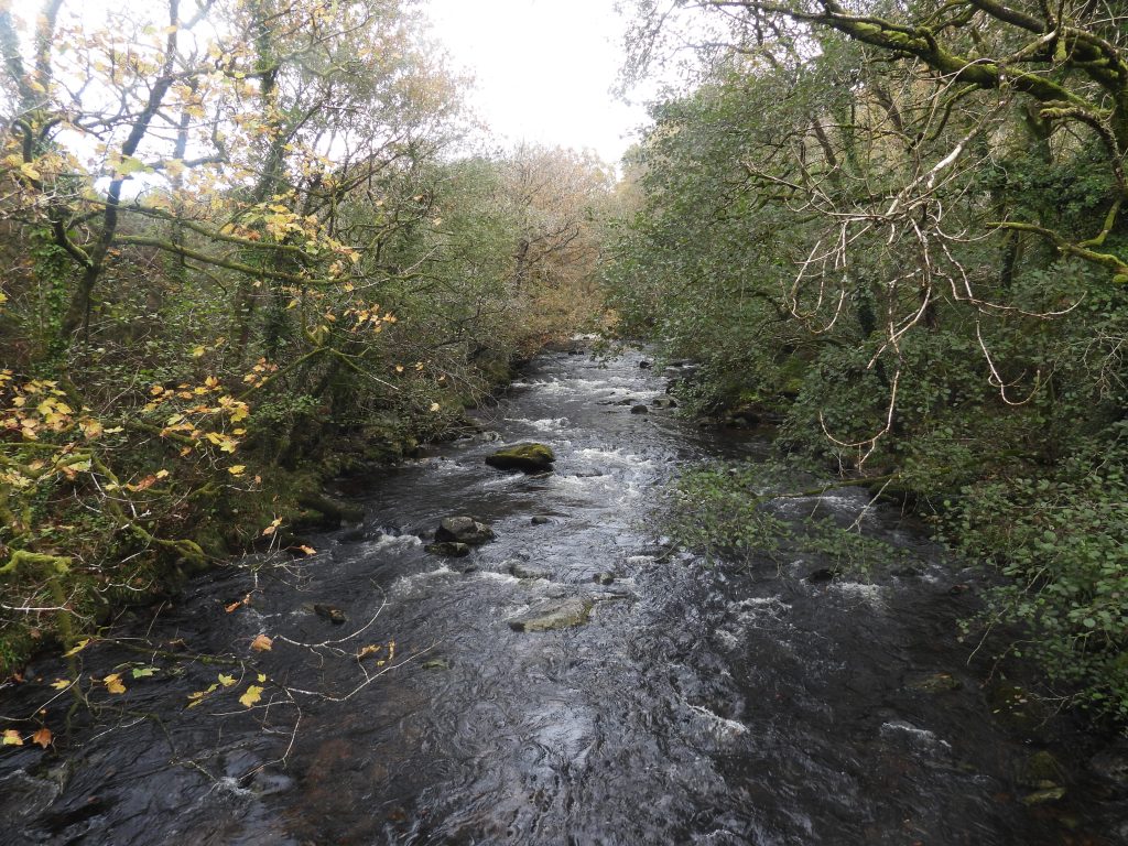 8a. Tavy from bridge