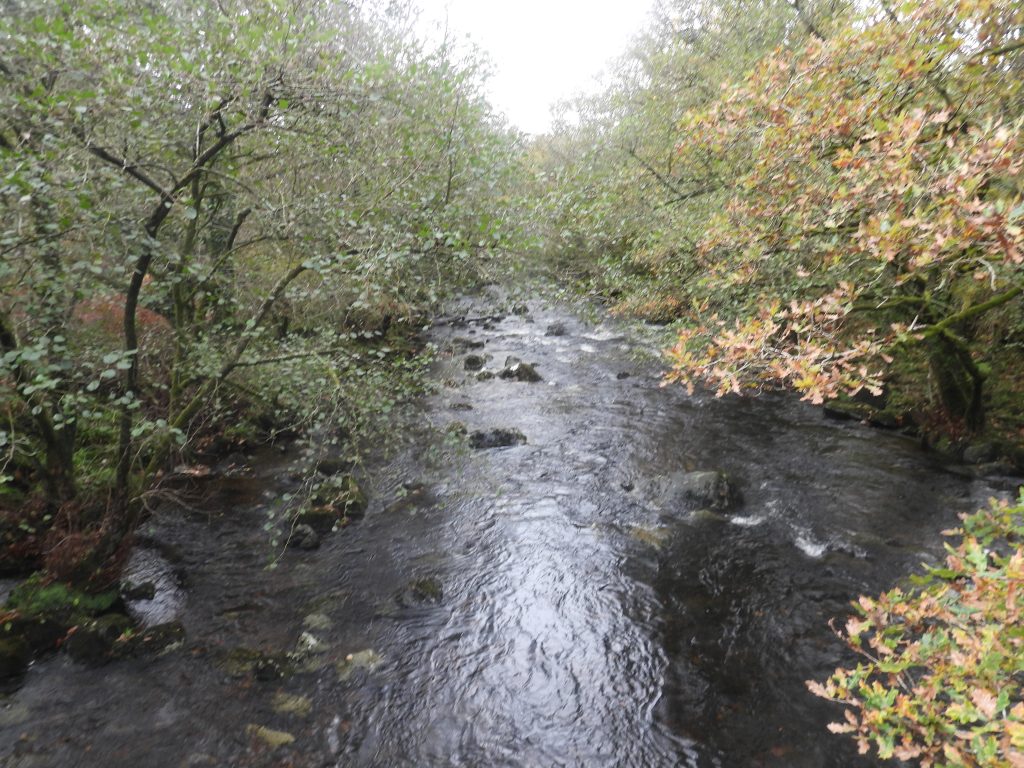 8b. Tavy from Bridge