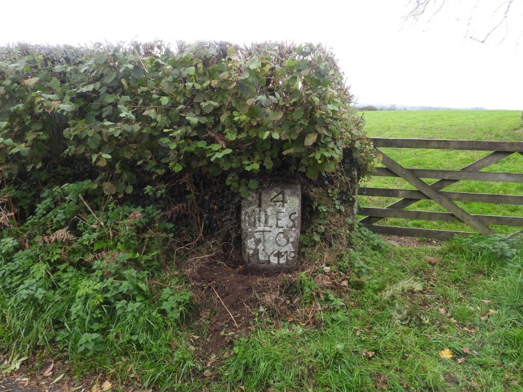 9. 14 Miles to Plym - Collaton a