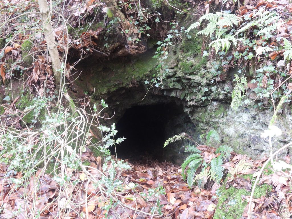 9a. South Devon United Mine Adit 1a