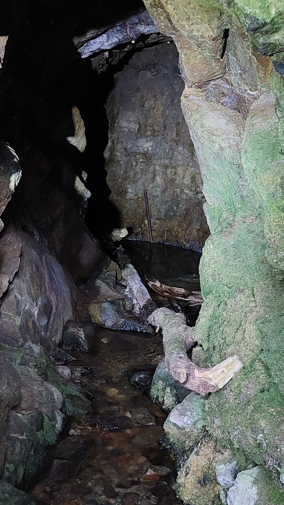 9b. South Devon United Adit 2c