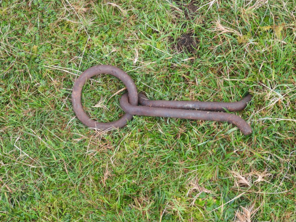 11e. Ring - restraint