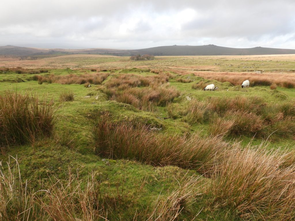 12a. Square Building in Garden of 1&2