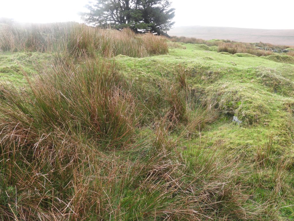 12b. Square Building in Garden of 1&2