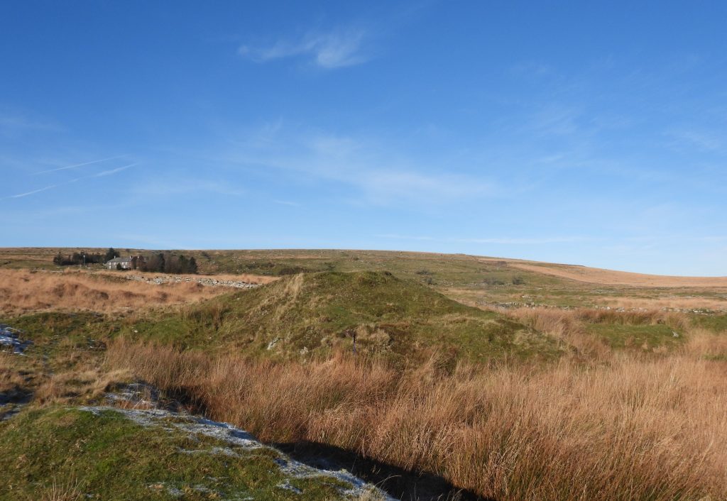 13. Waterwheel - November 2025