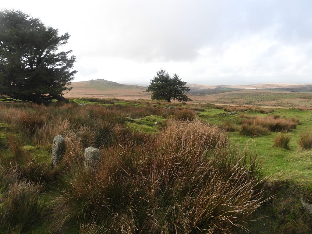 15a. Entrance to Garden 5&6