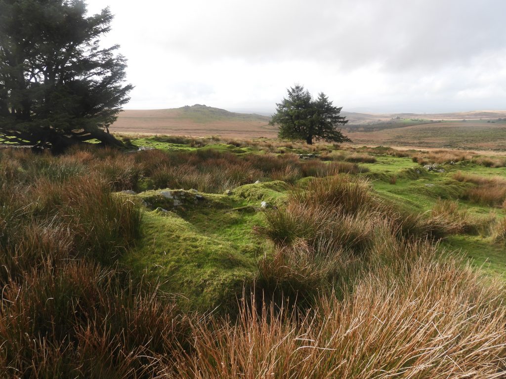 16. Top of Garden 5&6