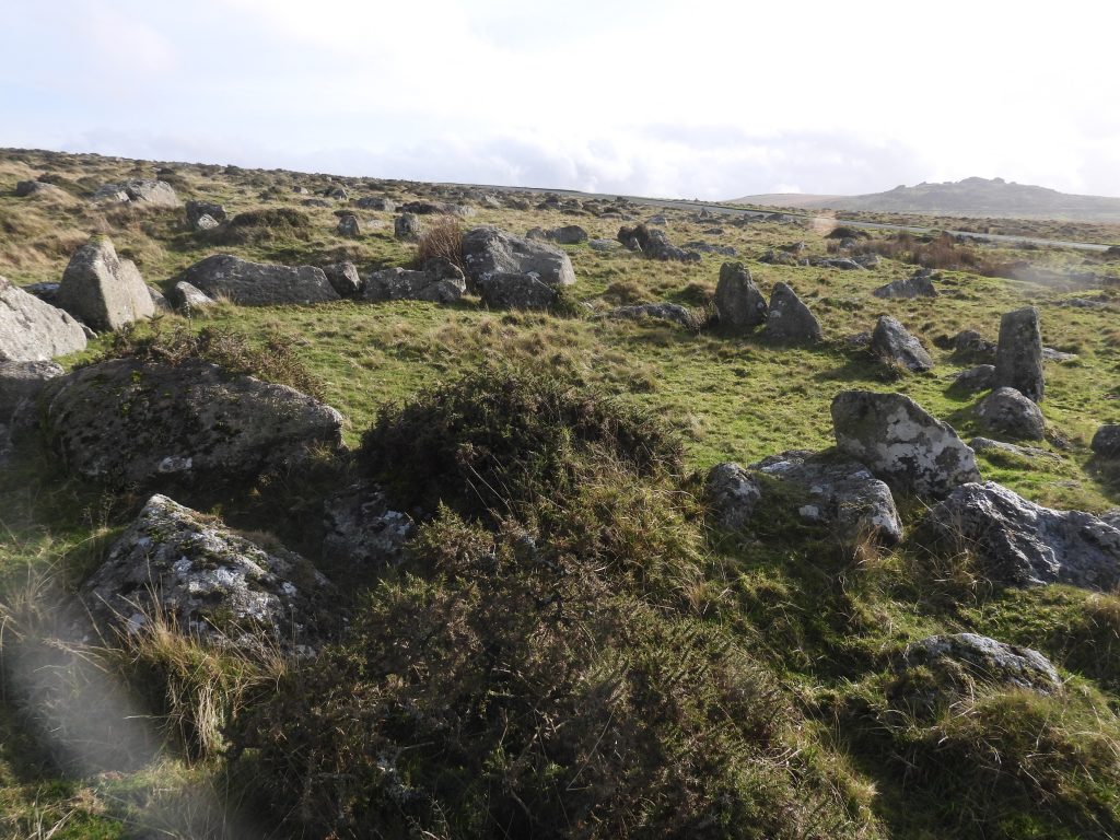 17. Hut Circle north b