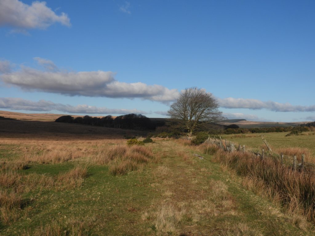 17. Original Track to Powder Mills