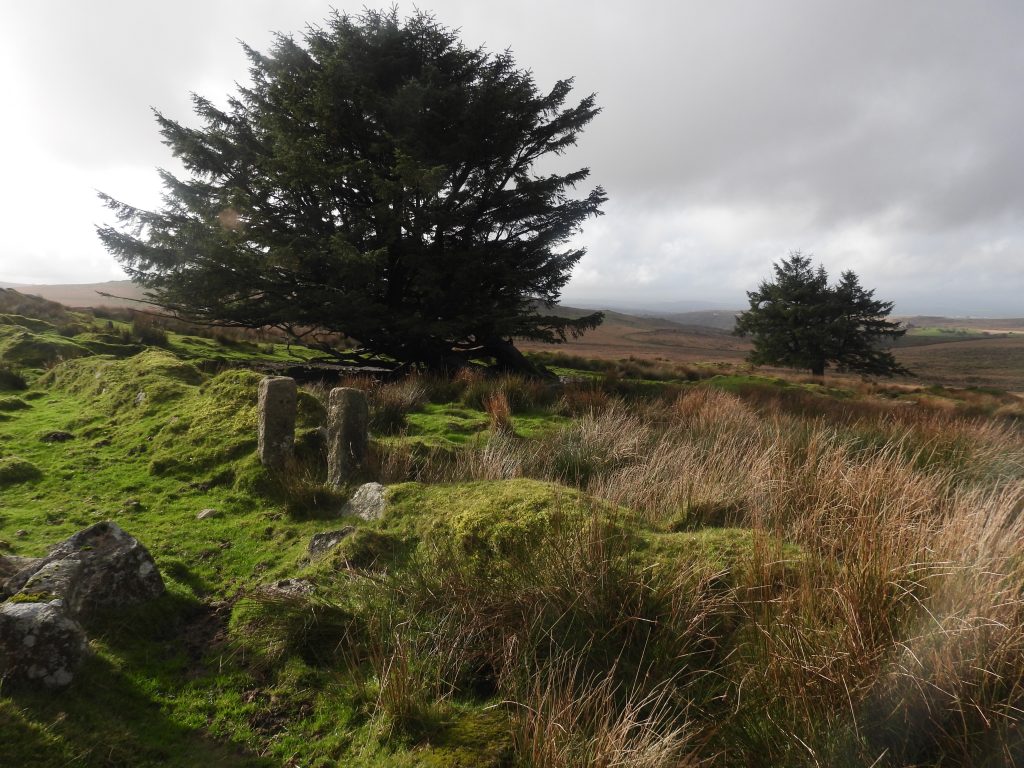 17a. Entrance to Garden 7&8