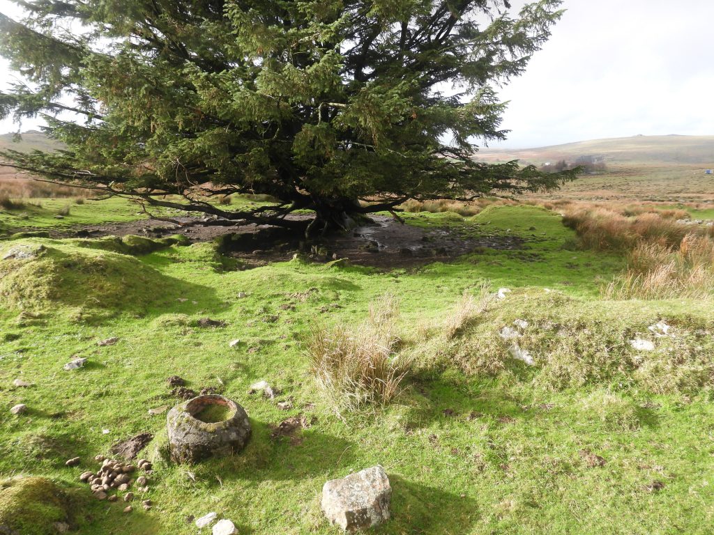 18a. Entrance to Garden 9&10