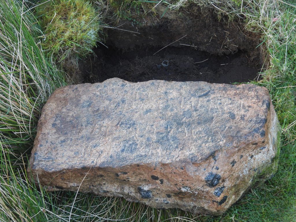 20c. Steve's Picture