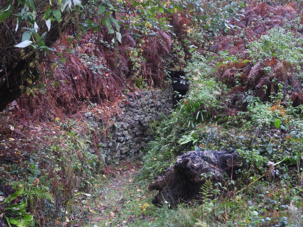 21. Entrance to Middle Adit