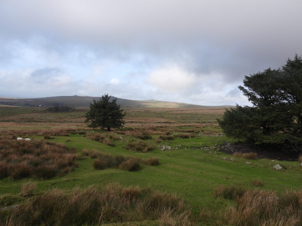 21. Track to West Mead Quarry